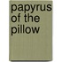 Papyrus of the Pillow