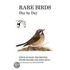 Rare Birds Day By Day