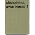 Choiceless Awareness 1