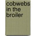 Cobwebs In The Broiler