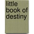 Little Book Of Destiny