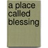 A Place Called Blessing