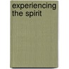 Experiencing The Spirit door Robert Heidler