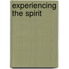 Experiencing The Spirit by Robert Heidler