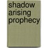 Shadow Arising Prophecy