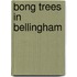 Bong Trees In Bellingham