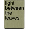 Light Between The Leaves by Molly G. Shane