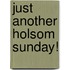 Just Another Holsom Sunday!