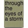 Through The Eyes Of A Storm door Mark A. Mcswain