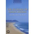 Ecology of Sandy Shores, The