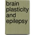 Brain Plasticity and Epilepsy