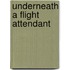 Underneath A Flight Attendant