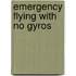 Emergency Flying With No Gyros