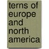 Terns Of Europe And North America