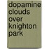 Dopamine Clouds Over Knighton Park
