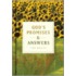 God's Promises And Answers For Men