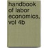 Handbook Of Labor Economics, Vol 4B