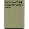 Carrauntoohil & Macgillycuddy's Reeks door Jim Ryan