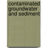 Contaminated Groundwater and Sediment door George F. Pinder