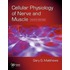 Cellular Physiology Of Nerve And Muscle