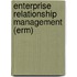 Enterprise Relationship Management (erm)