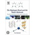 Hydrogen Bond and the Water Molecule, The