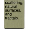Scattering, Natural Surfaces, and Fractals door Giorgio Franceschetti