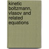 Kinetic Boltzmann, Vlasov And Related Equations door Victor Vedenyapin