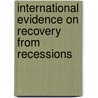 International Evidence on Recovery from Recessions door Valerie Cerra