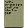 Naples, Sorrento & the Amalfi Coast Adventure Guide door Marina Carter