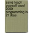 Sams Teach Yourself Excel 2000 Programming in 21 Days