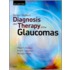 Beckershaffer's Diagnosis And Therapy Of The Glaucomas