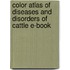 Color Atlas Of Diseases And Disorders Of Cattle E-Book
