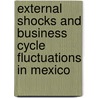 External Shocks and Business Cycle Fluctuations in Mexico door Sebastian Sosa