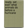 Ready, Set . . . Wait! What Animals Do Before A Hurricane by Patti R. Zelch