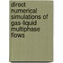 Direct Numerical Simulations Of Gas-Liquid Multiphase Flows