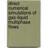 Direct Numerical Simulations Of Gas-Liquid Multiphase Flows door Ruben Scardovelli
