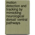 Motion Detection and Tracking by Mimicking Neurological Dorsal/ Ventral Pathways