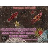 Volgodonsk Russian Kids 2008 Winter Art Album - Outer Space Series C05 (English) door Onbekend