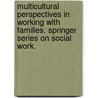 Multicultural Perspectives In Working With Families. Springer Series On Social Work. by Michael J.J. Gonzalez