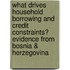 What Drives Household Borrowing and Credit Constraints? Evidence from Bosnia & Herzegovina