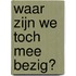 Waar zijn we toch mee bezig?