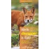 Welk dierspoor is dat?