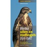 Welke uilen en roofvogels zijn dat? by Volker Dierschke