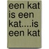 Een kat is een kat....is een kat