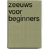 Zeeuws voor beginners