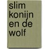 Slim konijn en de wolf