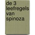 De 3 leefregels van Spinoza