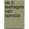 De 3 leefregels van Spinoza by Hans Huizenga
