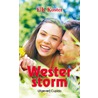 Westerstorm door Elly Koster